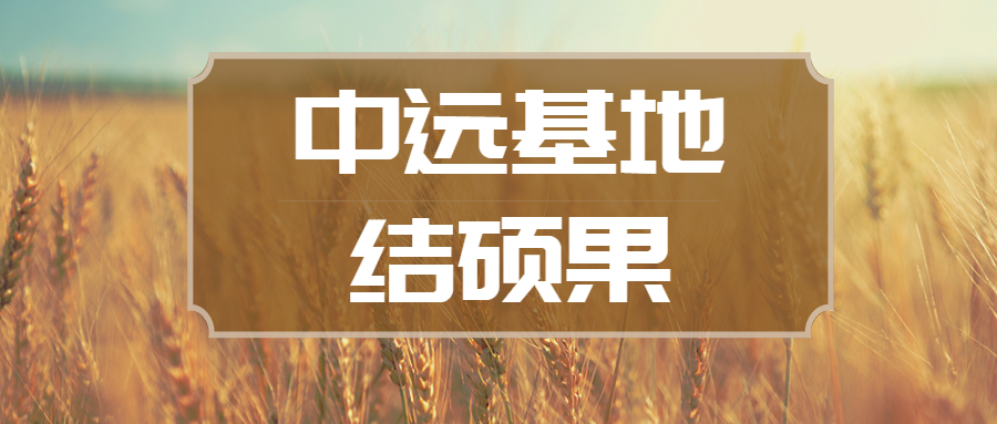 東莞中遠(yuǎn)基地首套導(dǎo)管架完工交付
