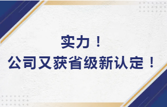 實(shí)力！公司又獲省級(jí)新認(rèn)定